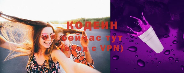 мяу мяу мука Бородино