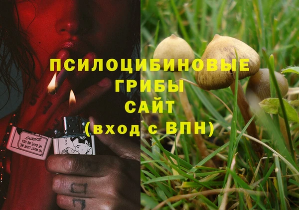 мяу мяу мука Бородино