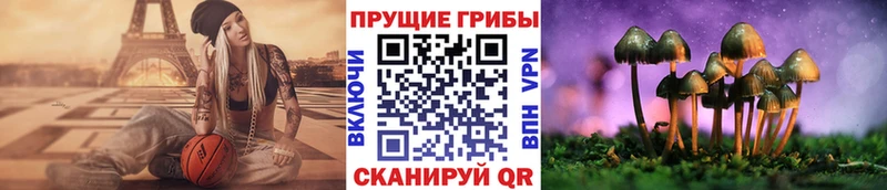 Псилоцибиновые грибы прущие грибы мега tor Изобильный где продают наркотики